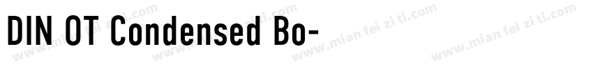 DIN OT Condensed Bo字体转换